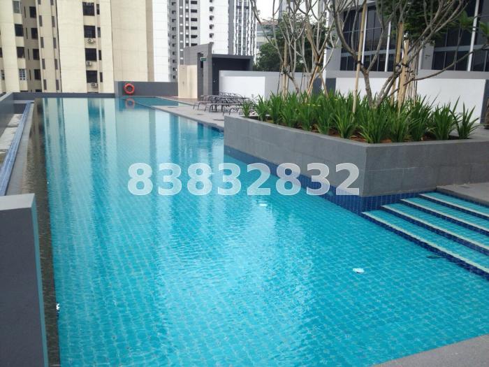Spottiswoode 18 (D2), Apartment #141740422